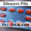 Silkworm Pills 06